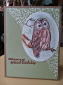 2021/05/24/Special_Owl_by_Carrie3427.jpg