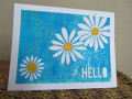 2022/03/11/Hello_Daisies_by_Carrie3427.jpg