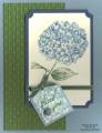 2010/06/29/because_i_care_hydrangea_tag_watermark_by_Michelerey.jpg