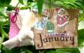 2012/01/02/TLC358_January_dazzle_by_Crafty_Julia.JPG