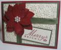 2010/12/12/poinsettia_cards_iridescent_cham_shimmer_2_by_Angie_Leach.JPG