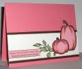 2010/10/03/HYCCT02A_mms_pink_thanksgiving_by_lacyquilter.jpg