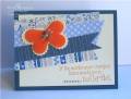 2010/10/14/PMS_embellished_butterfly_dmb_by_dawnmercedes.JPG