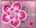 2011/03/08/Blossom_Ice_Cream_Parlor_pinks_by_Stampin_Wrose.jpg
