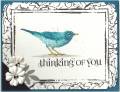 2012/04/10/blue_bird_thinking_2012_by_happy-stamper.jpg