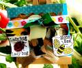 2012/05/08/CC374_Ladybug_and_Honey_Bee_by_Crafty_Julia.JPG
