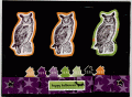 2011/09/23/3owls_by_100ProofPress.gif