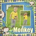 monkey-pag