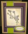 2011/08/17/very_tiny_purple_flowers_asbrewer_by_asbrewer.jpg