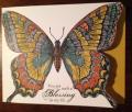 2014/06/23/butterfly_blessing_by_CAR372.jpg