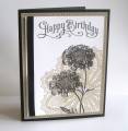 2011/10/06/Doily_perfectly_penned_birthday_100511_by_dpetersen.jpg