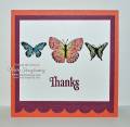 2012/03/31/Dazzling-Butterfly-Calypso_by_Card_Shark.jpg
