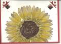 2012/07/09/Sunflower-Birthday_Card-Brenna_by_fedgirl55.jpeg