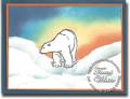 2013/01/17/zoo_review-polar_bear-stampwithtami_by_the_tamster.jpg