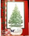 2014/12/07/Sparkly_Christmas_Tree_Card_with_wm_by_lnelson74.jpg