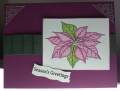 2011/11/01/100_2626-HYCCT1130_Paper_Ribbon_Poinsettia_by_crystaldolphins.jpg