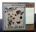 2012/03/14/Wood_and_Cork_Sharon_Field_by_sharonstamps.jpg