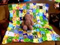2013/02/20/Teddy_and_Baby_Quilt_by_Crafty_Julia.JPG
