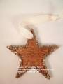 2012/02/29/Stamped_Wooden_Star_Ornament_CCREW0312CF_sm_by_mandypandy.jpg