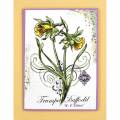 2012/02/27/P152_BotDaffodil_CB_800_by_StampendousGraphic.jpg