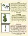 2012/03/07/Herbs_and_Seasonings_12_by_vikkijo.jpg