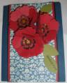 2012/07/17/DH_Betsys_Cherry_Poppies_by_diane617.jpg