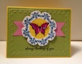 2013/05/10/butterfly_with_new_products_by_Queen_Elizabeth.JPG