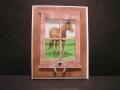 2014/01/31/Horse_in_the_Window_by_annie15.JPG