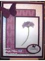 2012/08/29/Purple_Daisy_Thank_You_Card_with_wm_by_lnelson74.jpg