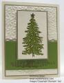 2012/11/17/gold-evergreen_by_cmstamps.jpg