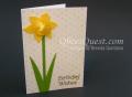 DaffodilCa