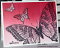 2013/03/31/Ombre_Butterflies_by_froglady.jpg