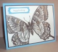 2013/05/07/Swallowtail_stamp_by_amyfitz1.jpg