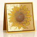 2013/03/29/CRS5047_PKG_Card_DH_by_StampendousGraphic.jpg