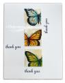 2013/09/13/MIX33_Butterflies_by_understandblue_004_copy_by_UnderstandBlue.jpg