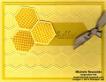2013/06/26/six_sided_sampler_honeycomb_hello_watermark_by_Michelerey.jpg