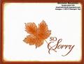 2013/09/11/magnificent maple simple sorry watermark_by_Michelerey.jpg