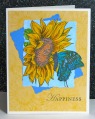 2013/08/02/Sunflower_Happiness_by_Broom.jpg