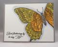 2013/10/26/HYCCT1326_Mixed_Butterfly_lb_by_Clownmom.jpg