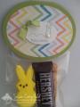 2014/04/04/Easter_S_more_Peeps_Treat_Bag_with_Eggstraspectacular_and_Oval_Collection_Framelits4-imp_by_suestampfield.jpg