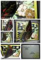 2014/02/28/3D_Swallowtail_by_Therez.jpg
