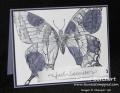 2014/06/03/Butterfly_Spotlight_Card_by_stampinandscrapboo.jpg