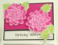 2014/07/31/stampin-up-flower-patch-stamp-set--07-31-2014_by_tyque.jpg