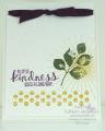 2014/08/15/stampin-up-kinda-eclectic-stamp-set---08-15-2014_by_tyque.jpg