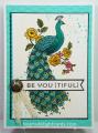 2014/07/31/Perfect_Peacock001s_by_Cards4Ever.jpg