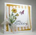 2014/12/29/butterflybasics_by_cindybstampin.jpg