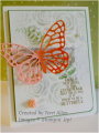 2015/01/02/Butterfly_Basics_by_terrial.png