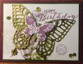 2016/07/25/Butterfly_Birthday_by_Lgilmore0511.jpg