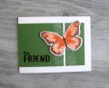 2017/07/14/Friendly_Butterfly_AYSI153_CTD449_by_Christy_S_.JPG