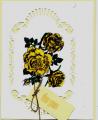 2015/08/08/yellow_roses_by_hotwheels.jpg